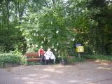 Urlaubsbaum