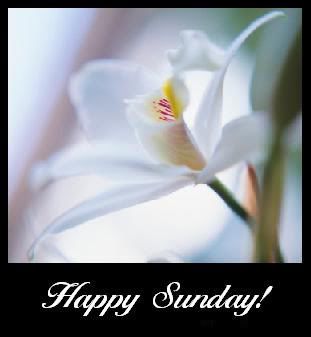 Happy Sunday Pictures, Images and Photos