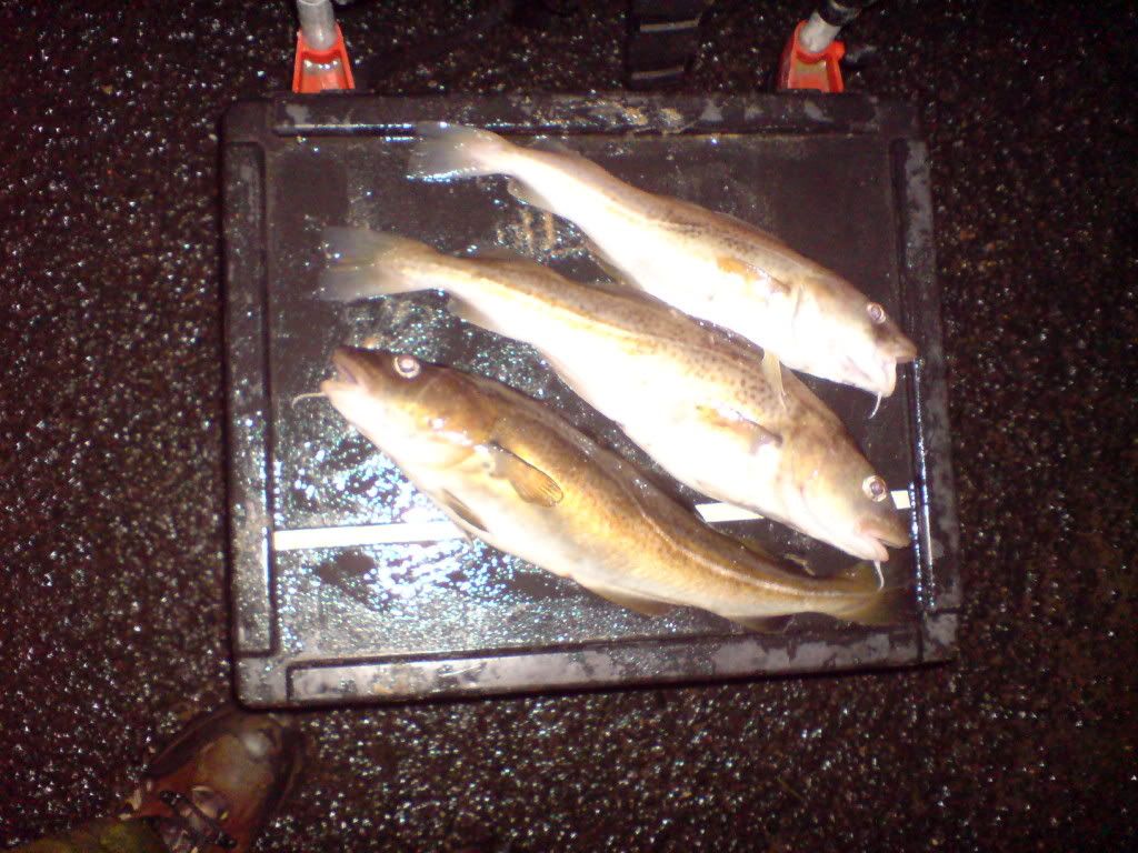 DSC00148.jpg