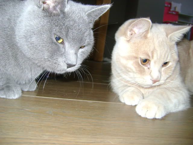24oktober2010.jpg