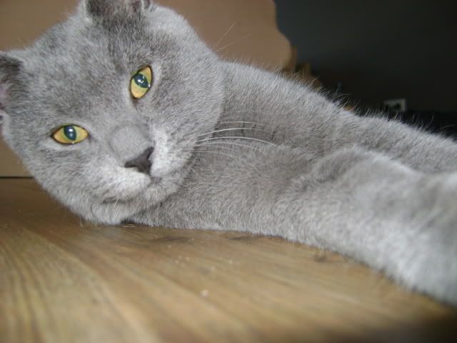 24oktober20106.jpg
