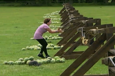 CLAIRE-AMAZING-RACE-WATERMELON-TO-THE-FACE-01.gif
